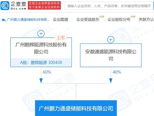 鵬輝能源參股成立儲能科技新公司，注冊資本達1億元，拓展信息系統集成服務
